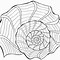 Image result for Coquillage Coloriage