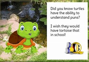 Image result for Post Turtle Joke