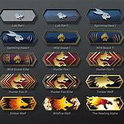 Image result for CS GO Rank Icons