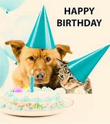 Image result for Happy Birthday Dog Meme