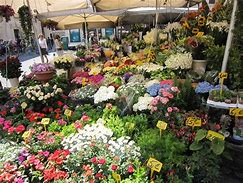 Image result for Florence Italy Food Market