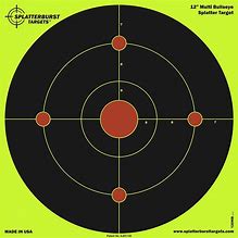 Image result for Target for Guns