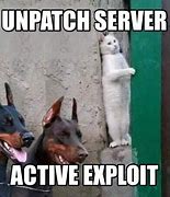 Image result for Bugs and Exploit Meme