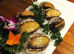 Image result for Abalone Shell Food