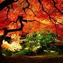 Image result for Computer Wallpaper Fall Scenes