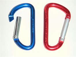 Image result for 2 Carabiners