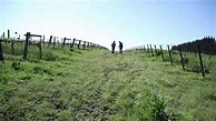 Image result for Longfellow Syrah Dry Creek Valley