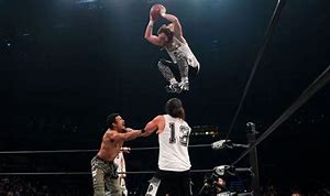 Image result for Slam Dunk Wrestler