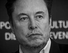Image result for Elon Musk Aushwitz