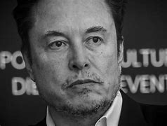 Image result for Elon Musk House and Family