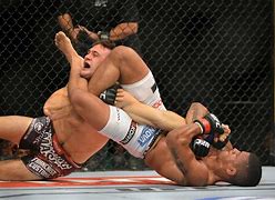 Image result for MMA