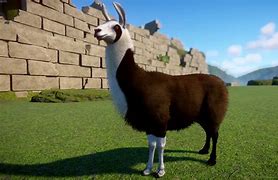 Image result for Planet Zoo Llama