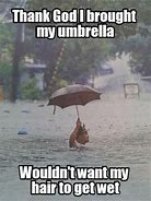 Image result for Funny Rain Quotes and Sayings