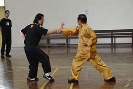 Image result for Tiger Claw Martial Arts