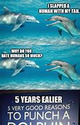 Image result for Dolphin Dive Meme