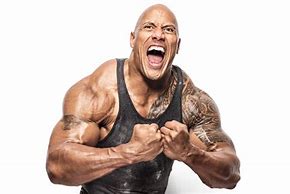 Image result for the rock