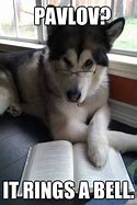 Image result for Pavlov's Dog Meme