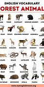 Image result for Different Kinds of Animals