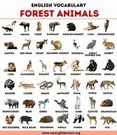 Image result for Popular Animals