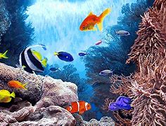 Image result for Ivory Fish Phone Wallpaper
