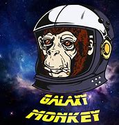 Image result for Galaxy Monkey