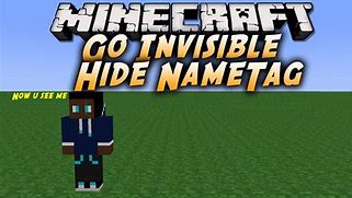 Image result for Minecraft Invisible Letters