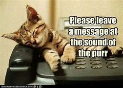 Image result for Cute Answering Phone Meme