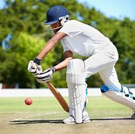Image result for Cricket Players Equipment