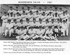 Image result for Minnesota Twins Celebrate