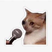 Image result for Cat Memes Crying with Mic