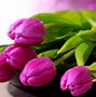 Image result for Pink Purple Screen