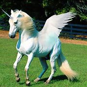 Image result for Unicorn and Mermaid Pics
