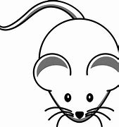 Image result for A Cute Mouse