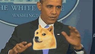 Image result for Dog Dank Memes Gifs