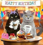 Image result for Happy Birthday Wishes with Cats