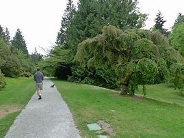 Image result for 2300 Arboretum Drive E, Seattle, 98112
