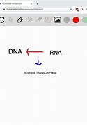 Image result for RNA vs DNA Viruses Chart