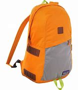 Image result for patagonia backpack