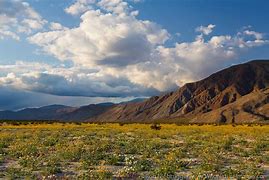 Image result for Borrego Desert State Park