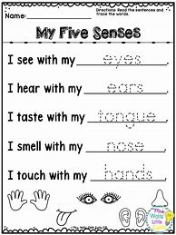 Image result for Pre-K Five Senses Math Worksheets