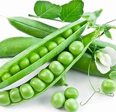 Image result for English Pea Seeds for Sale