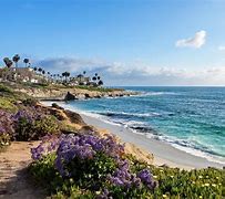 Image result for Sabrina Afkhami San Diego CA