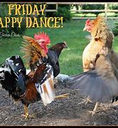 Image result for Chicken Dance Meme