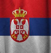 Image result for Srpska Zastava