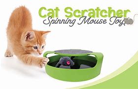 Image result for Cat Scratch Toys