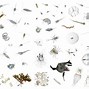 Image result for 1 Cubic Foot of Insects