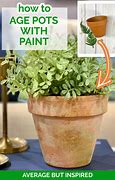 Image result for Sponge Texture Flower Pot