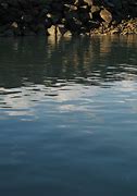 Image result for Calm Water Resistance