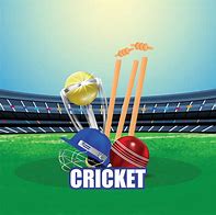 Image result for Cricket Poster Background Vector