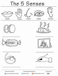 Image result for 5 Senses Activity Worksheets